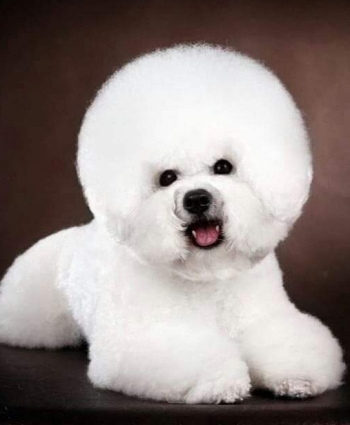 789