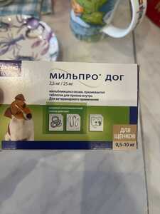 2c28e350 e821 4cfc ac10 f3938187b17d