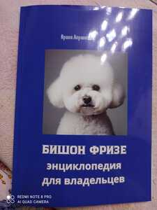 IMG 20250216 204138