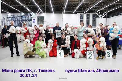 IMG 20240226 210520