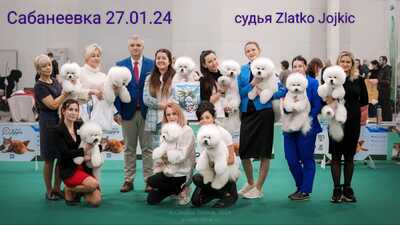 IMG 20240226 211934