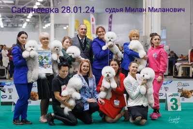 IMG 20240226 212134