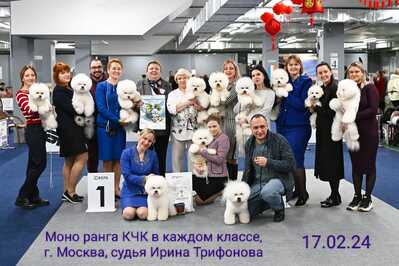 IMG 20240226 211715