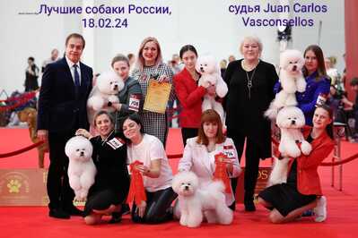 IMG 20240226 210859