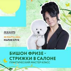 FB IMG 1707940636639