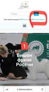 IMG 20240215 181808 702
