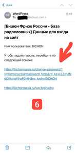 IMG 20240215 181826 643