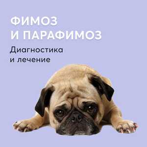 IMG 20240709 223407 810