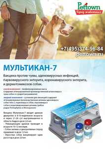 IMG 20240107 150732 231