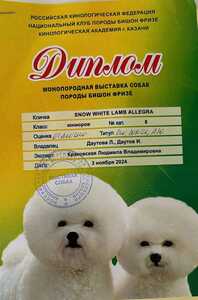 IMG 20241107 224219 484