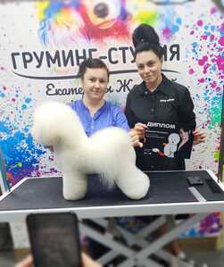 IMG 20250519 142910 335