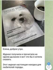 Screenshot 20250630 095606 Telegram