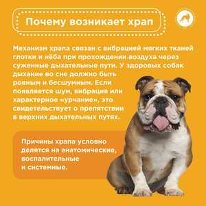 IMG 20251015 155121 823