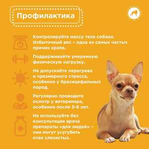 IMG 20251015 155122 549