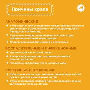 IMG 20251015 155122 241