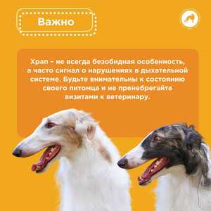 IMG 20251015 155121 656