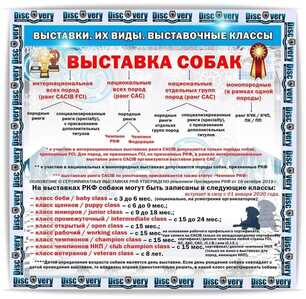 IMG 20251206 220720 304