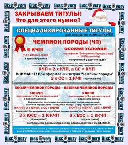 IMG 20251206 220720 188