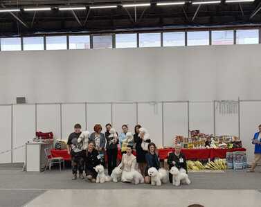 IMG 20260118 175730 189