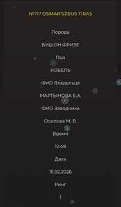 IMG 20260228 221235 387
