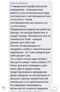 Screenshot 20260703 091928 VK Screenshot 20260703 091928 VK