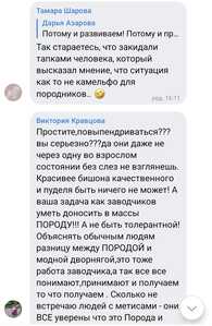 Screenshot 20260703 092009 VK Screenshot 20260703 092009 VK