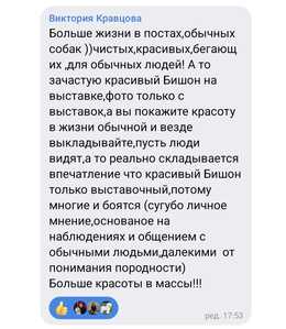 Screenshot 20260703 095019 VK Screenshot 20260703 095019 VK