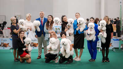 DSC02014 web